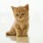 Linh_Berry