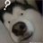 NguyenDuc_Long