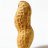 Peanut_Smith