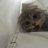 Pat_Sigourney