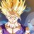 Son_Gohan