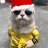 Alexander_Braham