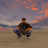 Hoang_Ly