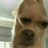 Amandax_Yorkking