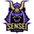 X_Sensei