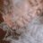 DouStra_Tria