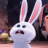 Ducc_Anhh