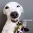 LeHuu_Phuc
