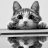 Thanh_Trur