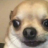Douglas_Bin