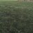 Jack_Wiler