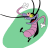 RinnMan