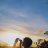 TRann_nhan
