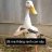 Sick_MyDuck