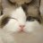 Yukii_Lesnar