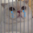 Sumo_X