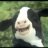 Victor_Davit