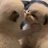 ThanhDanh_Chillqua