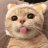 Tony_Montero