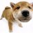 Thien_Baoo