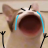 Duc_Phanvn