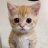 MiKey_Pham
