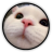 Thousand_Sunny