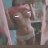 Martin_Gavin