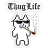 Nicolai_Teo