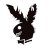 Duc_Tranz