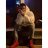 phan_anh