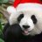 Khai_Smith