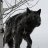 Teen_Wolf