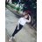 TranThuy_MyLinh