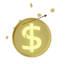 Top Money RGVN
